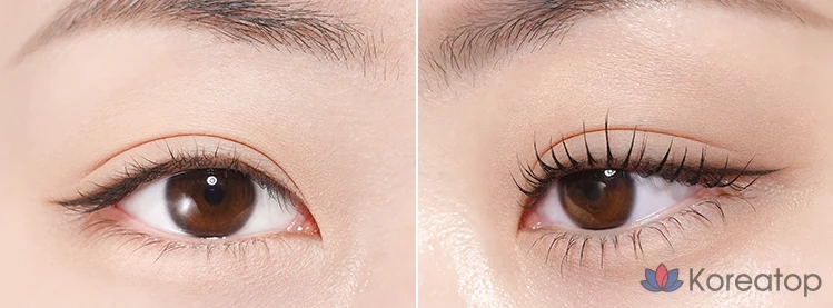 Тушь для ресниц MERZY Micro Fixing Long Lash Mascara, оттенок MM1 Black, 9 мл, 1 шт.