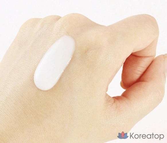 Набор для ухода Round Lab 1025 Dokdo Travel Kit (Toner + Lotion + Sunscreen + Cleanser + Pouch), 6 шт., фото 5