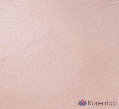 Кушон-основа Banila Co Cover Lasting Ultimate White Cushion Foundation, оттенок 22 Natural, 14 г + 14 г, 1 шт., фото 5