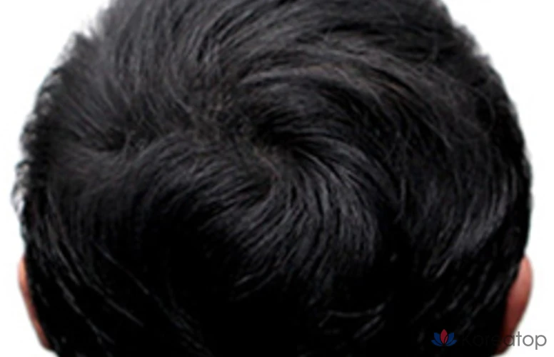 Кушон для волос DASHU Daily Easy Cover Hair Cushion, оттенок Natural Black, 26 г, 1 шт.
