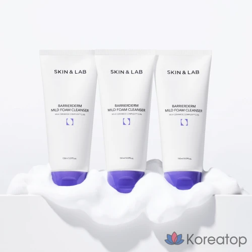 Пенка для умывания SKIN&LAB Barrierdome Mild Foam Cleanser, 150 мл, 1 шт.