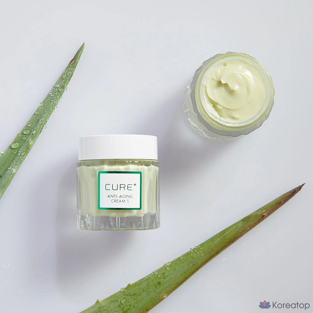 Крем KIM JEONG MOON Aloe Cure Anti-Aging Wrinkle Elasticity Cream S Brown Edition, 50 г, 1 шт.