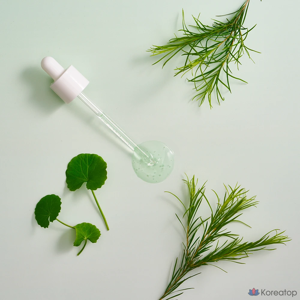 Ампульная сыворотка AVCA True Calming Cica Tea Tree Rebalancing Soothing Ampoule, 100 мл, 1 шт.