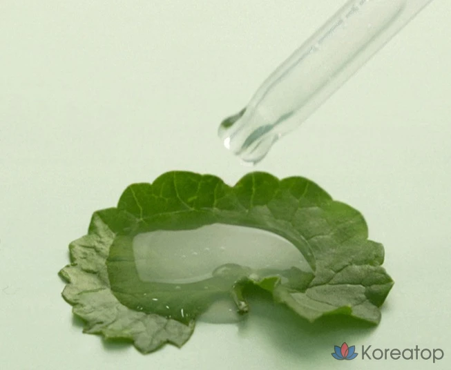 Ампульная сыворотка AMPLE:N Centella Calming Shot Ampoule, 100 мл, 1 шт., фото 7