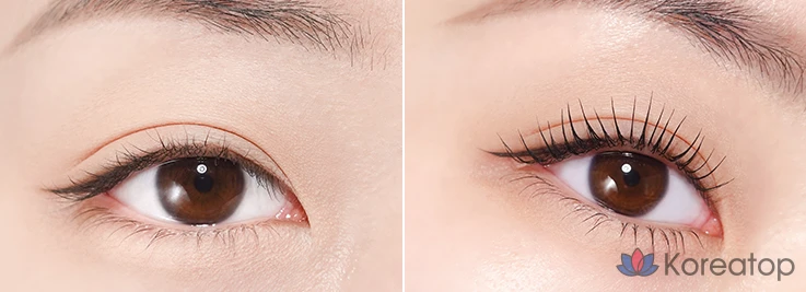 Тушь для ресниц MERZY Micro Fixing Long Lash Mascara, оттенок MM1 Black, 9 мл, 1 шт.