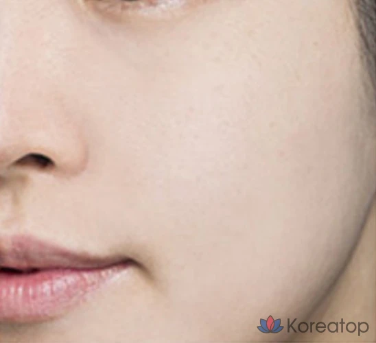 Пудра-компакт The Saem Saemmul Perfect Pore Pact Powder, 12 г, 1 шт.