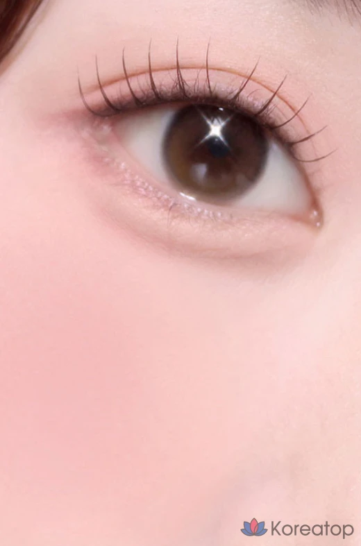 Блушер Etude House Heart Pop Duo Blusher, оттенок N.B.B. Bloomer Petal, 7.5 г, 1 шт.