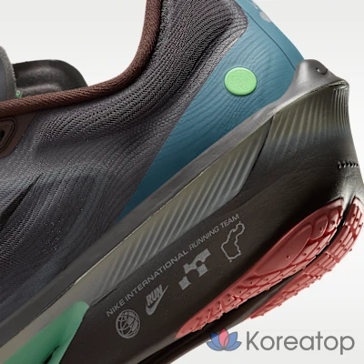 Кроссовки мужские Nike Zoom Fly 6