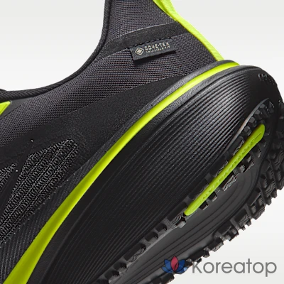 Кроссовки мужские Nike Pegasus 42 GORE-TEX, водонепроницаемые, для бега по шоссе