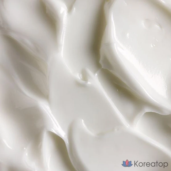 Крем IsNtree Mugwort Calming Cream, 50 мл, 1 шт.