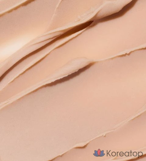 Праймер Innisfree No Sebum Blur Primer, 25 мл, 1 шт.