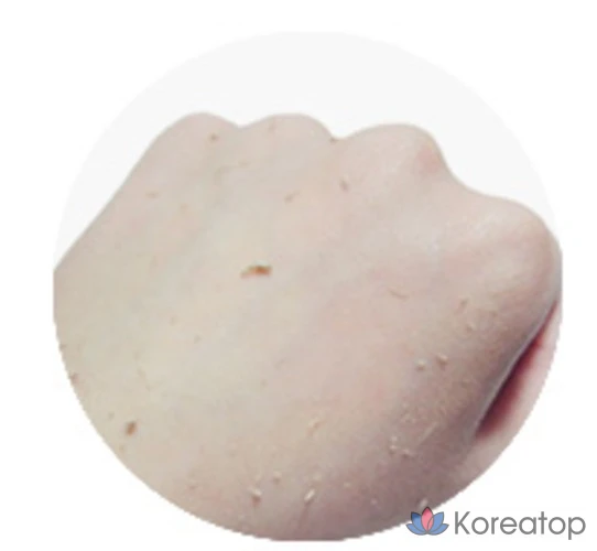 Пилинг для тела The Face Shop Bbodle Bbodle Ddeh Peeling Body Scrub Floral, 300 мл, 1 шт.