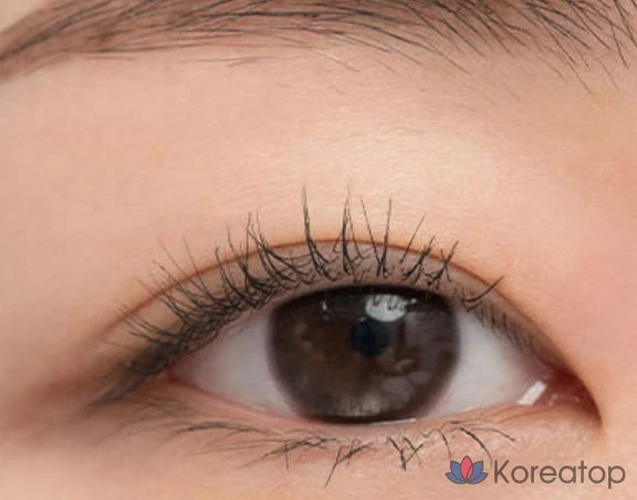 Тушь для ресниц ROM&ND Han All Fix Mascara, оттенок V01 Volume Black, 7 г, 1 шт., фото 2