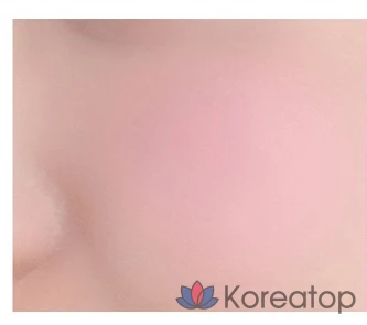 Кушон для щек Banila Co Priming Veil Cheek, оттенок PK05 Flora, 6 г, 1 шт.
