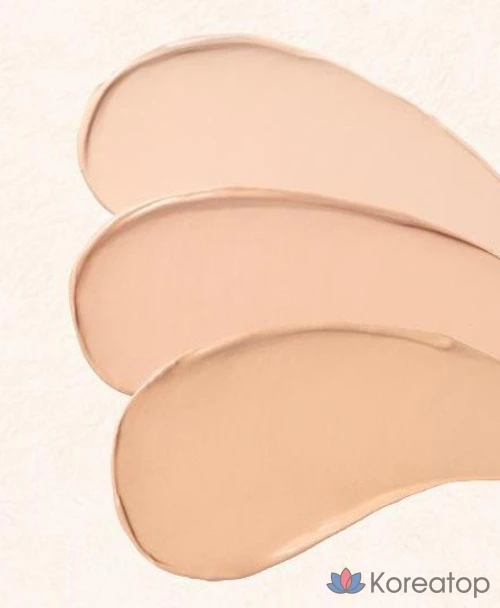 Консилер-крем Skinfood Salmon Dark Circle Concealer Cream, оттенок 1, 10 г, 1 шт.