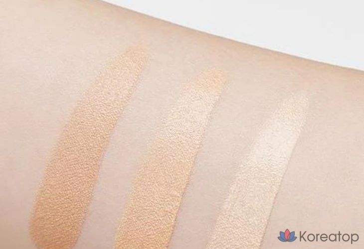 Консилер-крем Skinfood Salmon Dark Circle Concealer Cream, оттенок 1, 10 г, 1 шт.