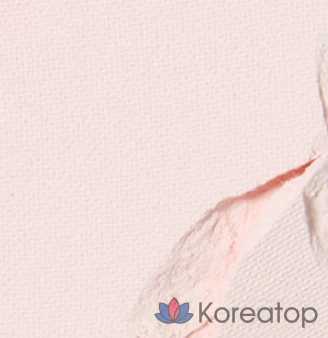 Блушер Etude House Heart Pop Duo Blusher, оттенок N.B.B. Bloomer Petal, 7.5 г, 1 шт.