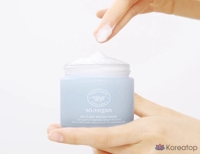 Крем для лица So Natural So Vegan Ice Plant Water Cream, 70 мл, 1 шт.