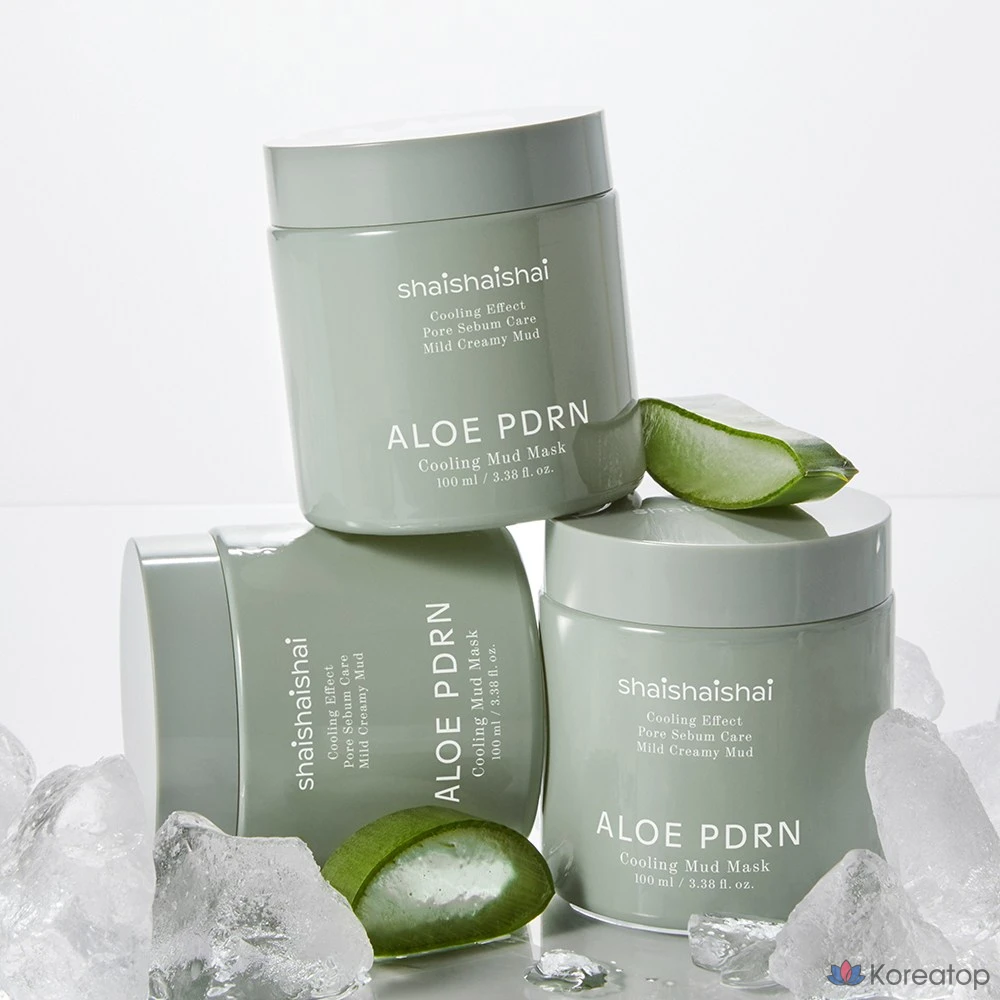 Маска для лица SHAISHAISHAI Aloe PDRN Cooling Mud Mask, 100 мл, 1 шт.