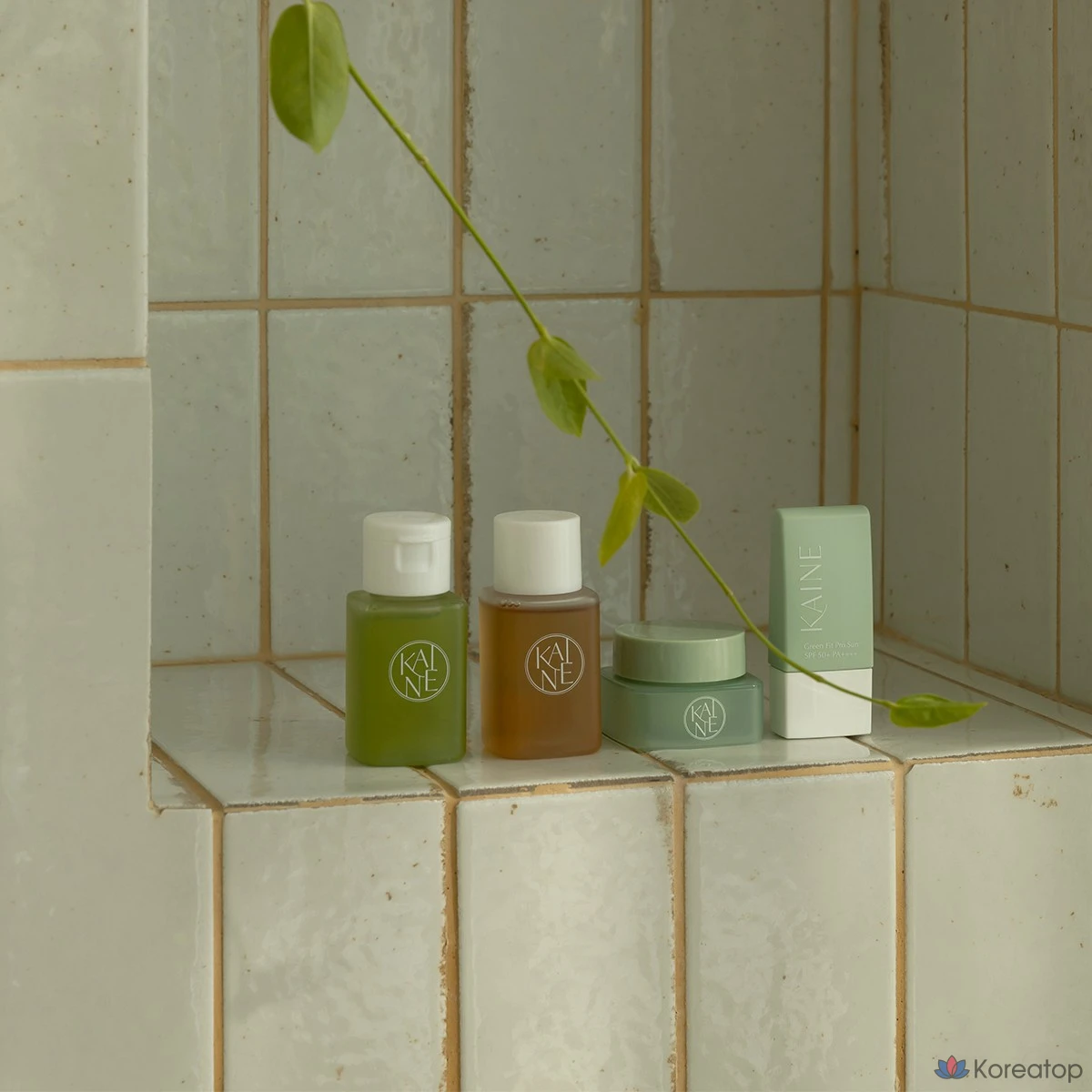 Набор для ухода KAINE Travel Kit, 1 шт.