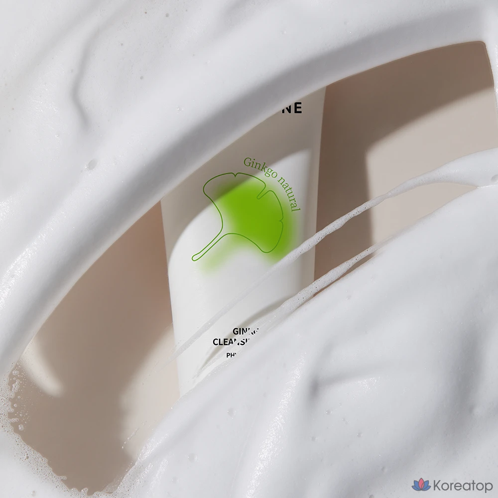 Очищающая пенка Charmzone Ginkgo Natural Cleansing Foam, 200 мл, 1 шт.