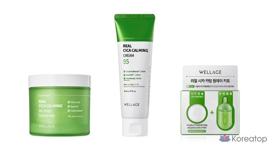 Крем для лица WELLAGE Real Cica Calming 95 Cream, 80 мл, 1 шт.