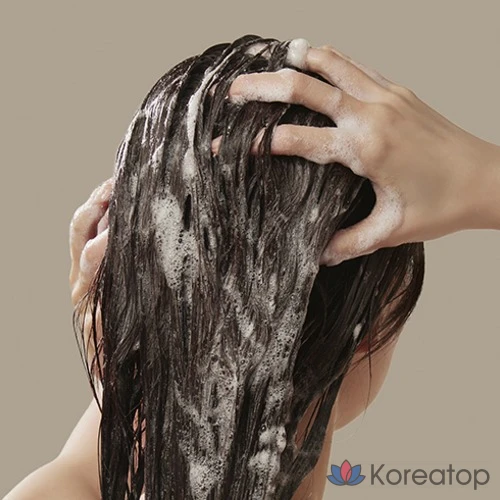 Шампунь BEYOND Argan Therapy Repairing Shampoo, 500 мл, 1 шт.