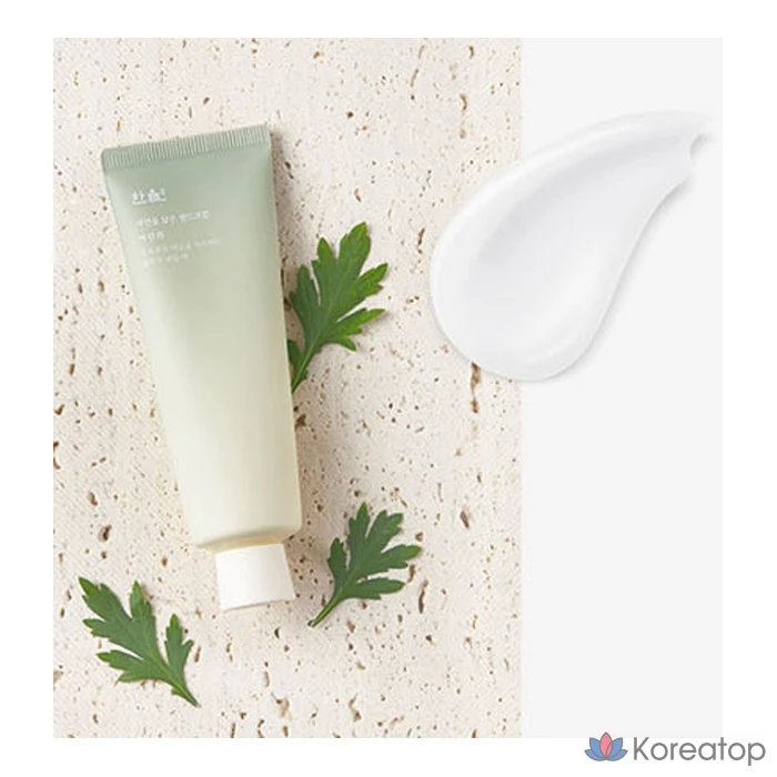 Крем для рук HANYUL Natural Hand Cream Artemisia, 50 мл, 1 шт.