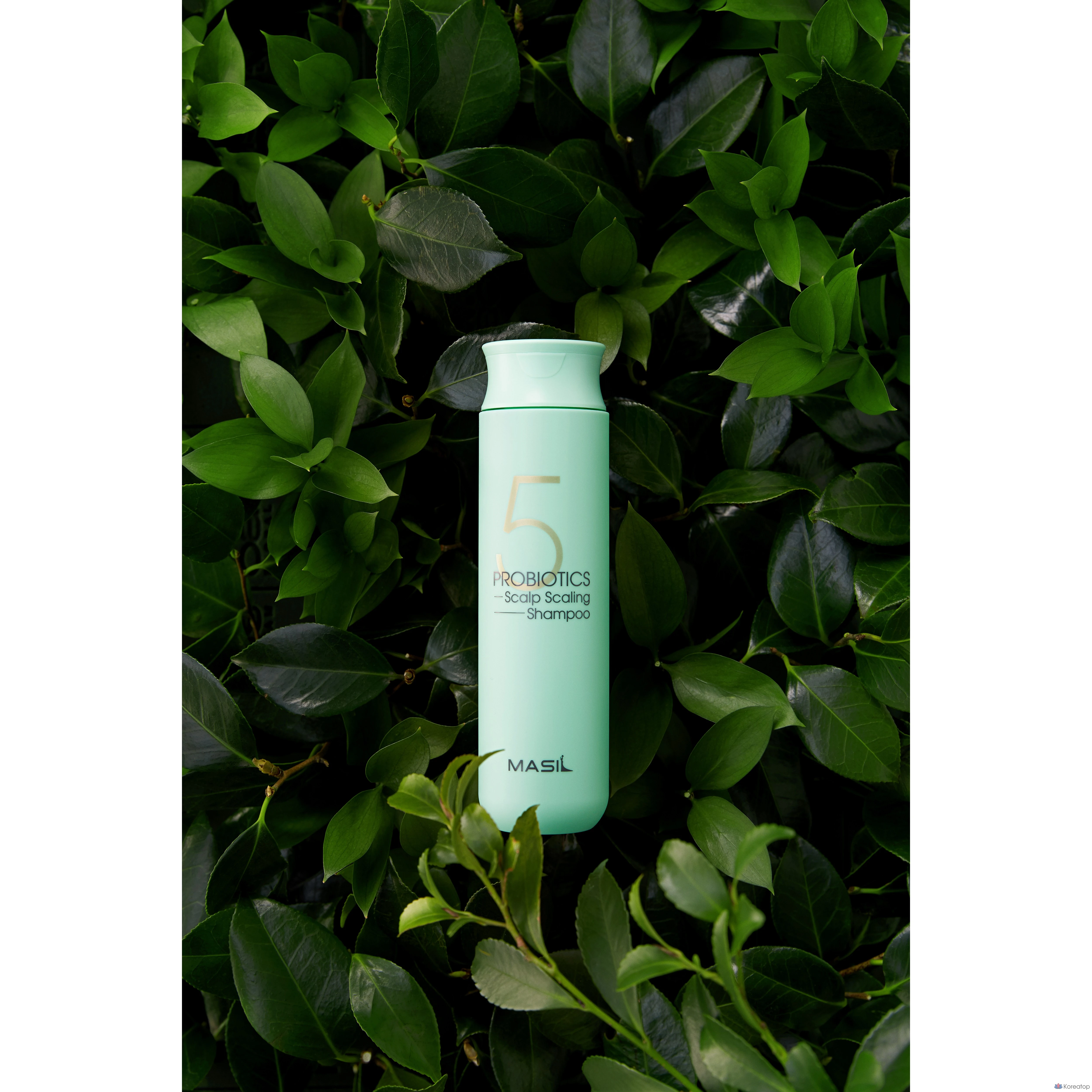 Шампунь для кожи головы Masil 5 Probiotics Scalp Scaling Shampoo, 300 мл, 1 шт.