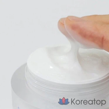 Крем Ilso Daily Moisture Pudding Cream, 50 мл, 1 шт.