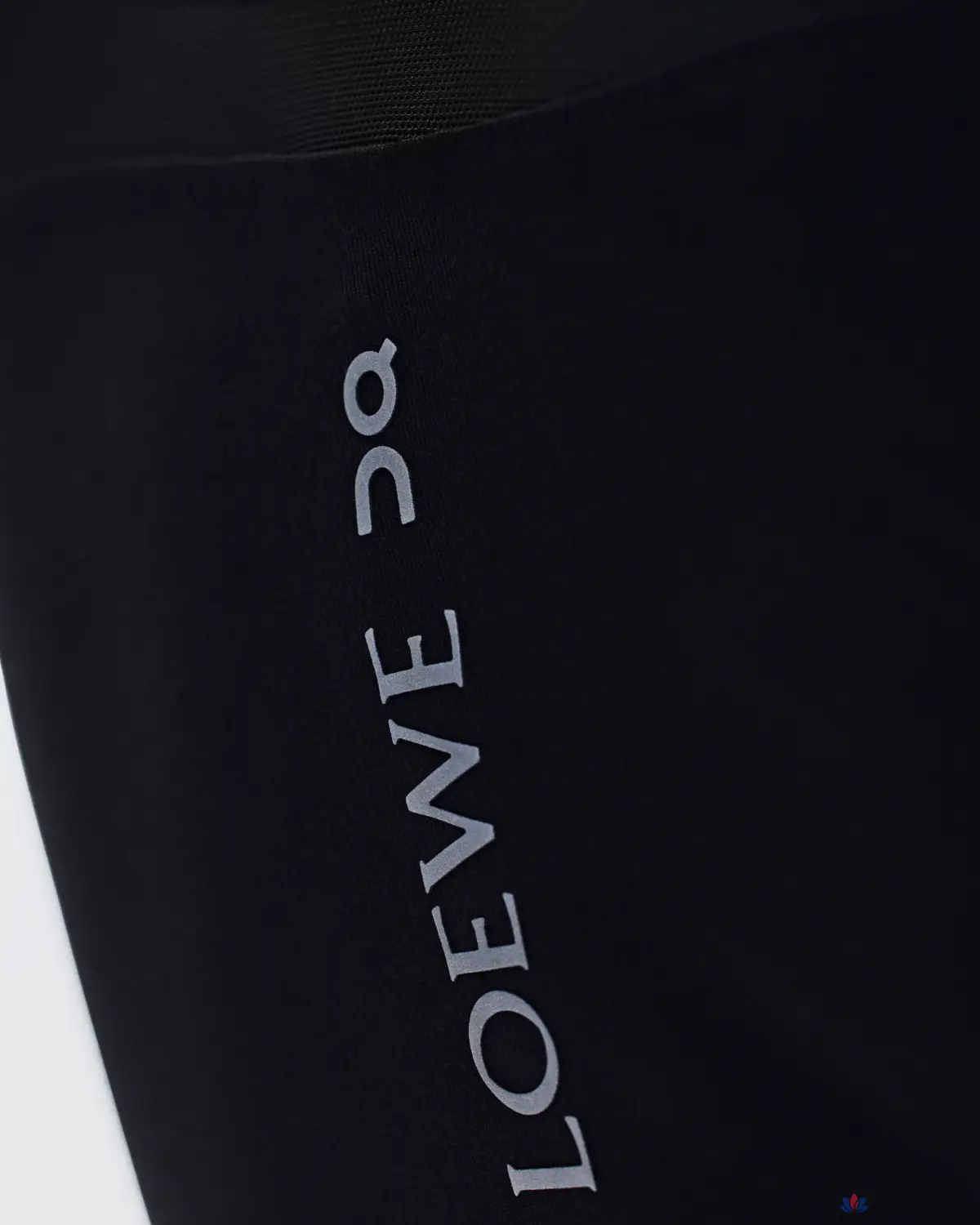 LOEWE x на