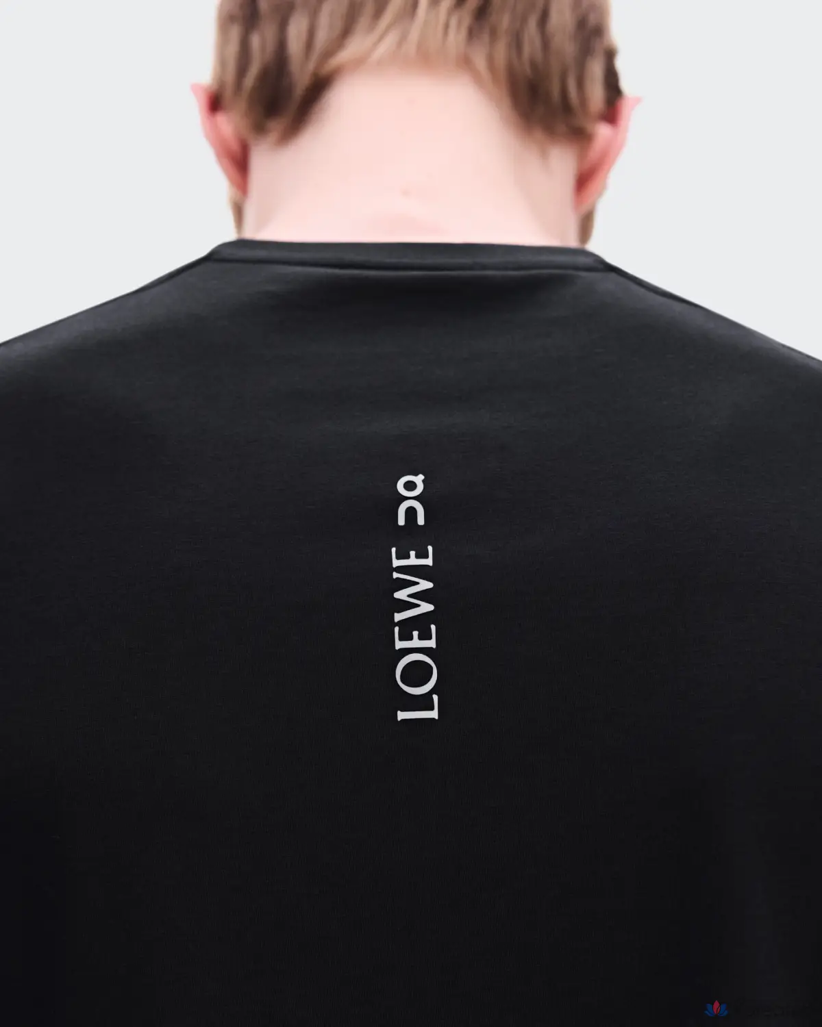 LOEWE x на