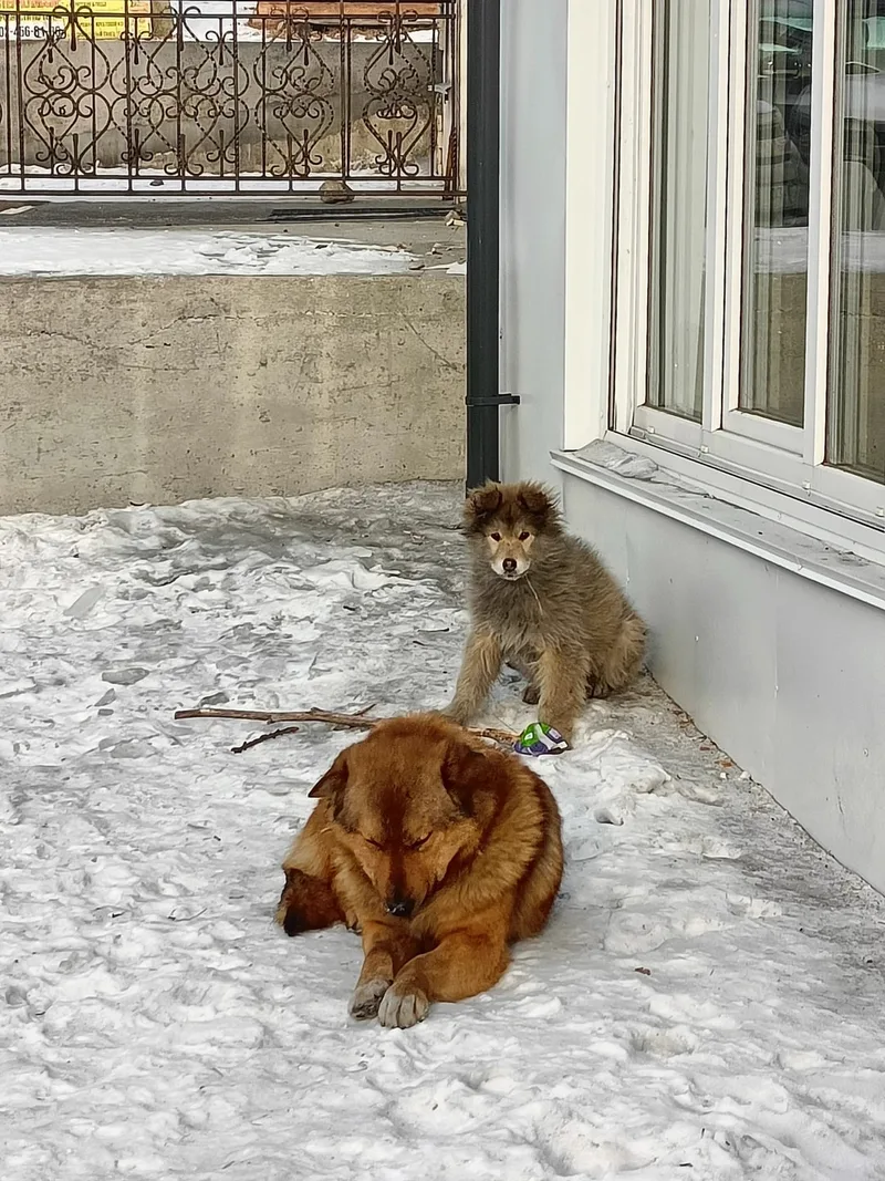 Татьяна