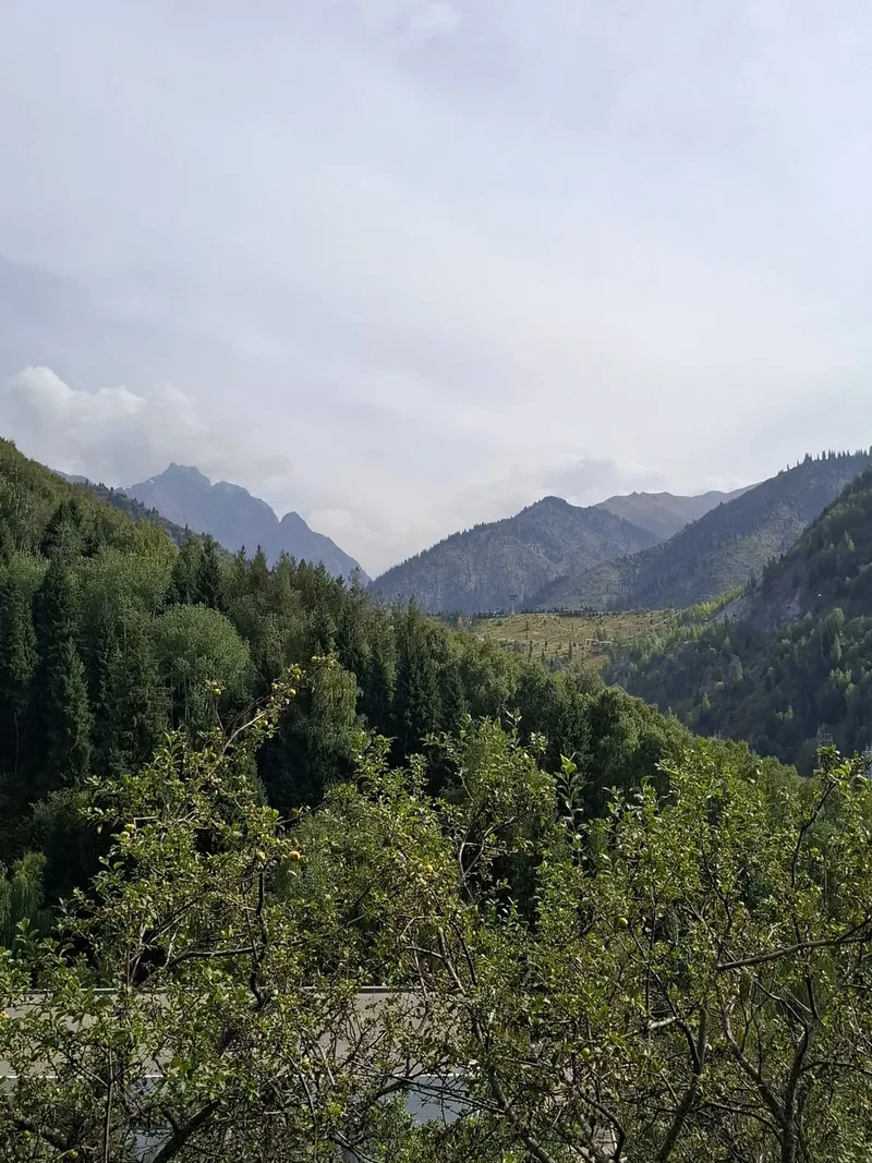 Мария