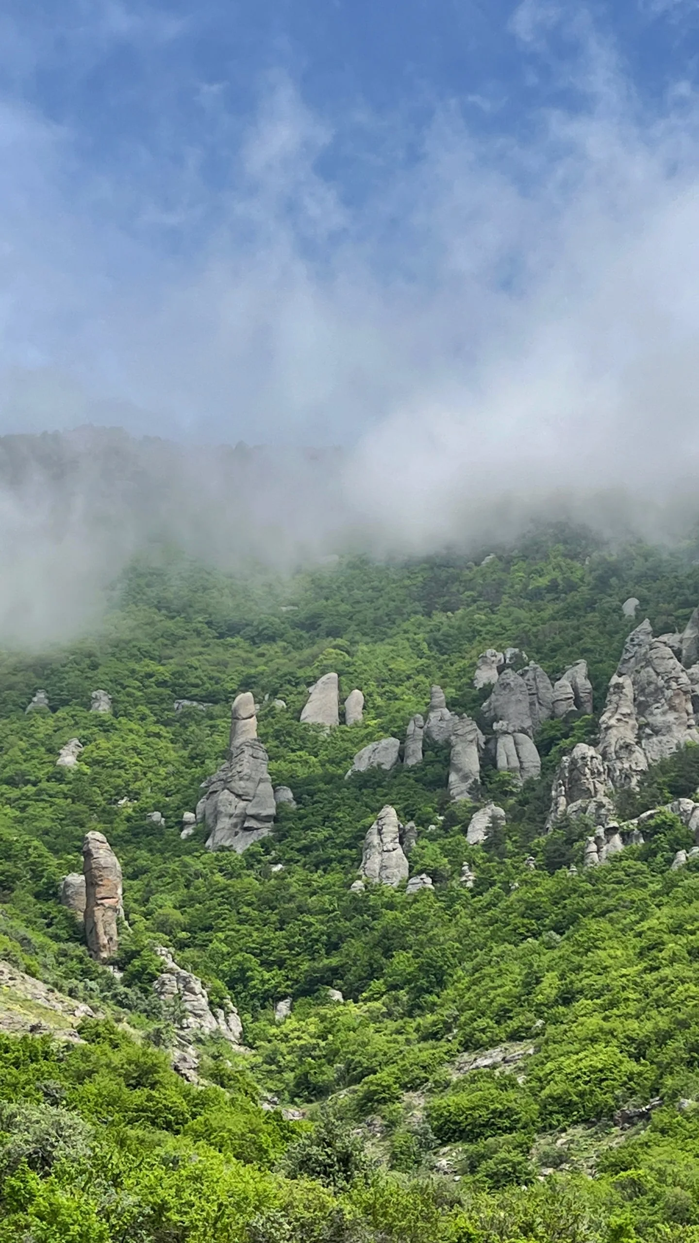 Алупка — Ялта — Алушта: микс впечатлений