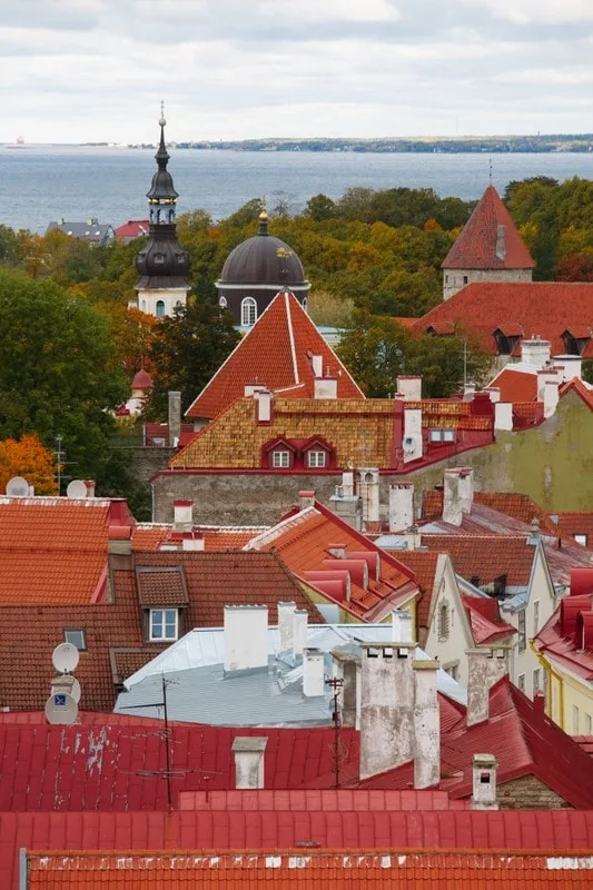 Фотопрогулка по старинному Таллину