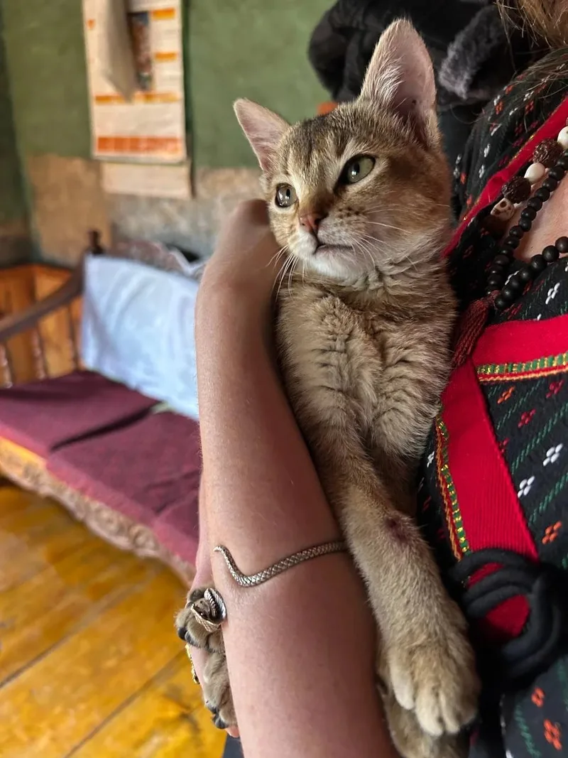 Анна