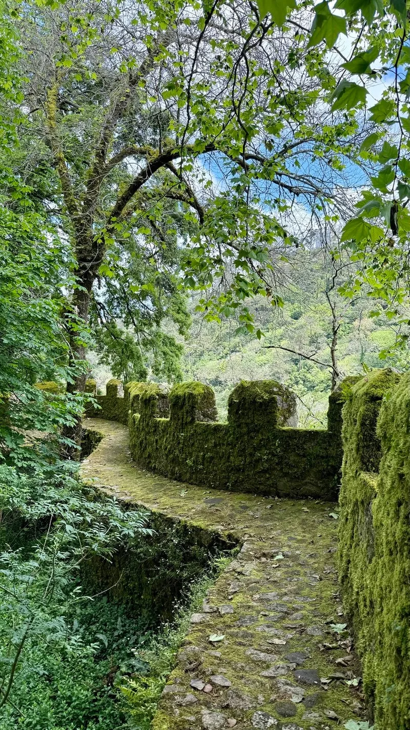Roksana