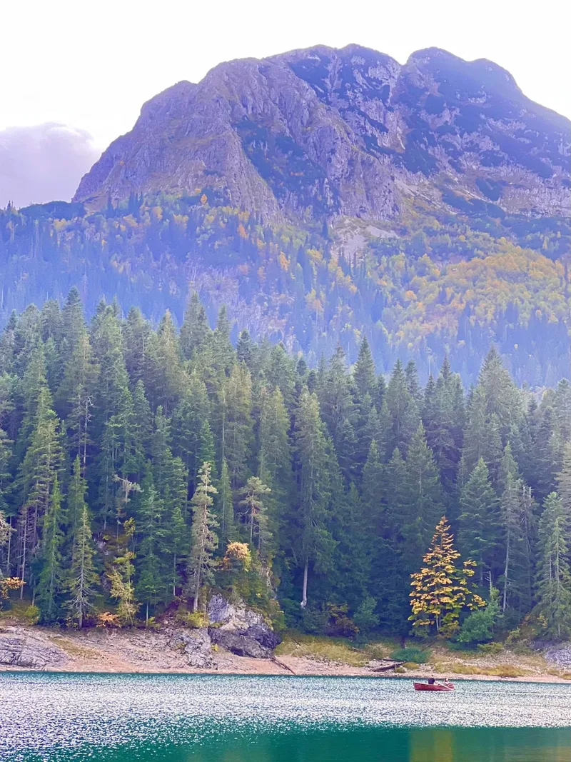 Bugreeva