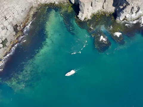 Морское путешествие к островам Японского моря и котикам