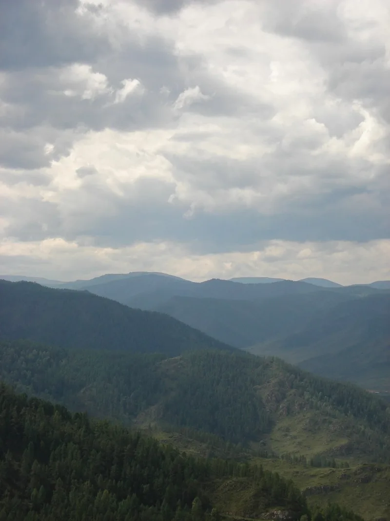 Олеся