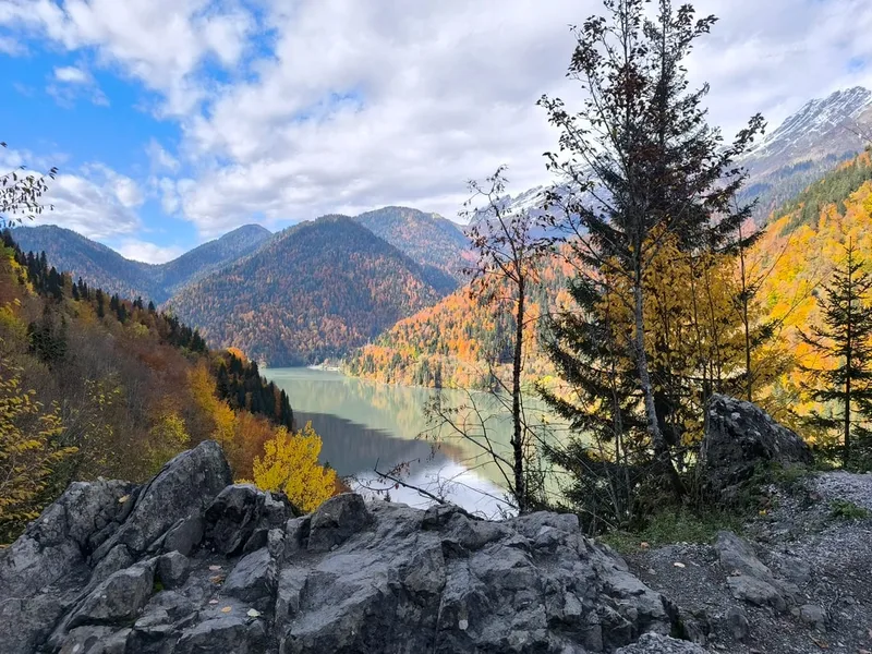 Алеся