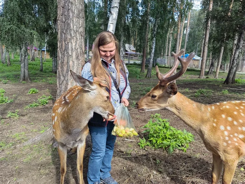 Елена