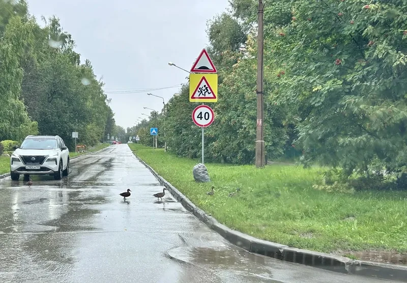 Юлия