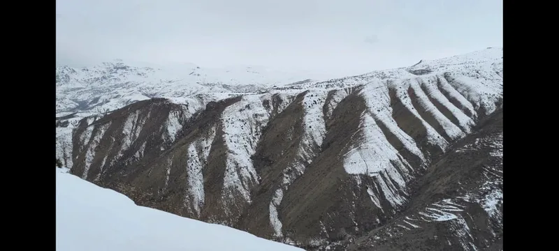 Альберт