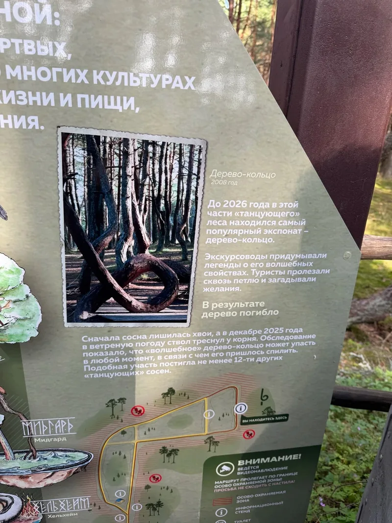 Инна