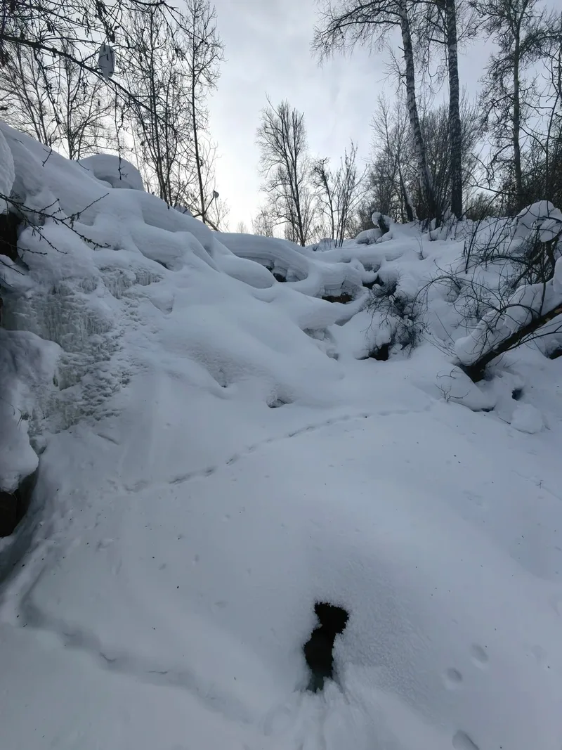 Тимур