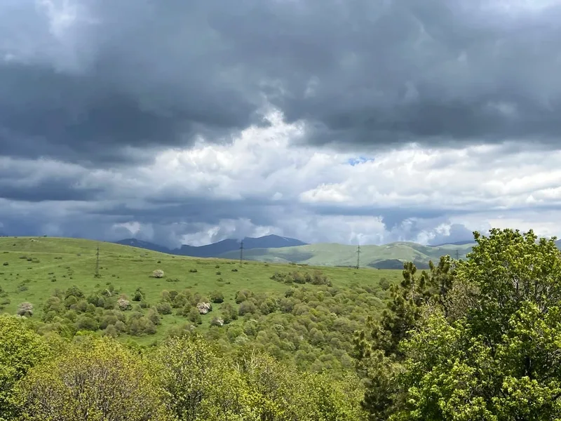 Карина