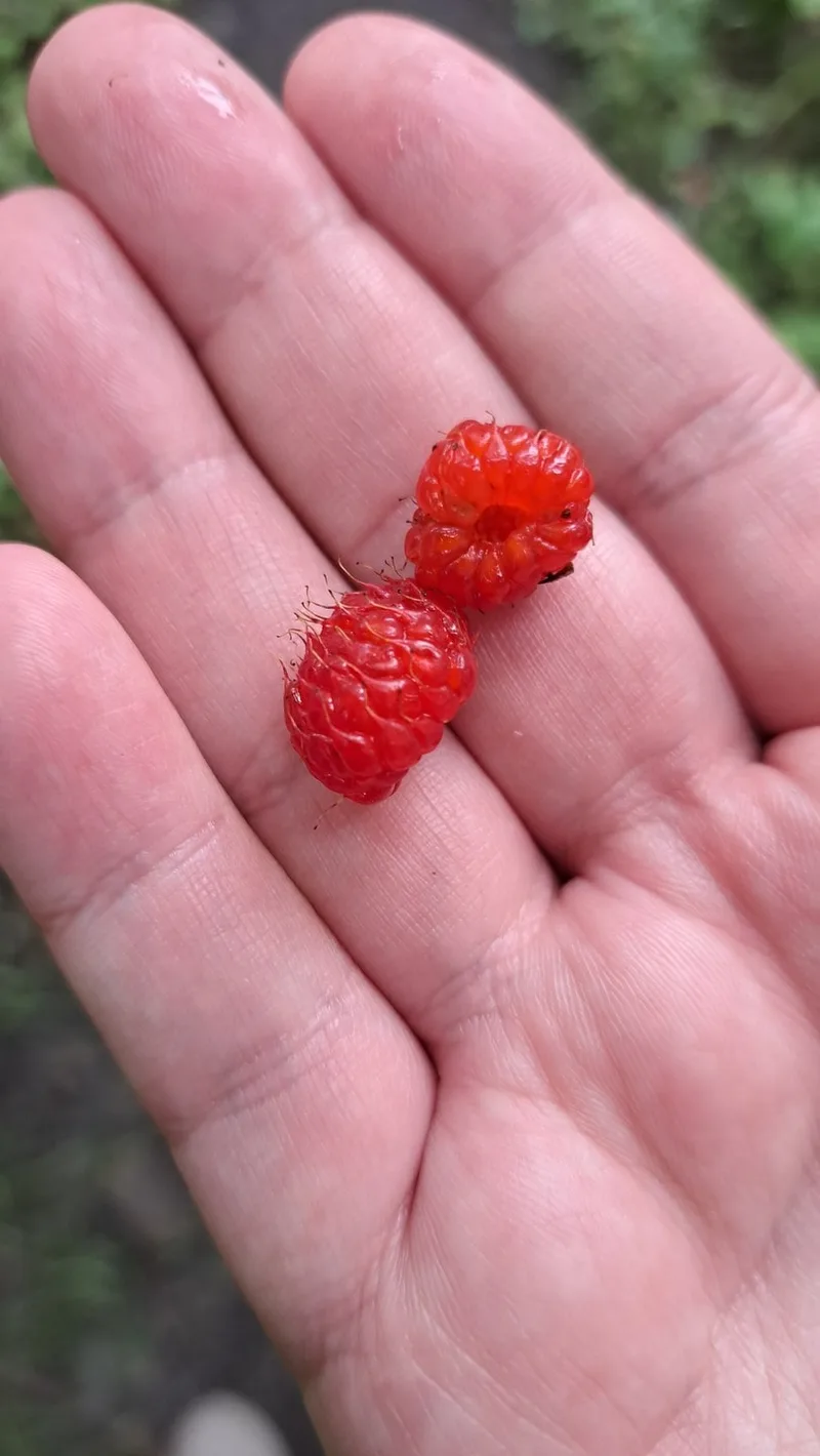 Мария