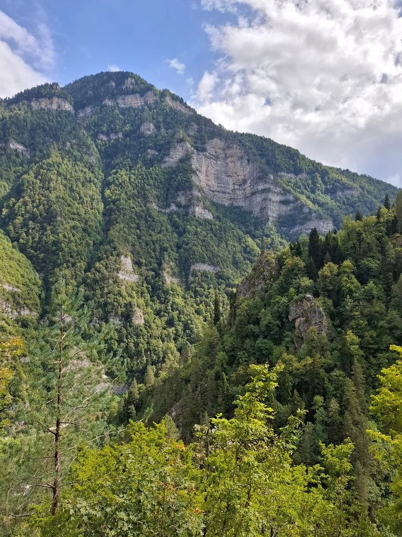 Алёна